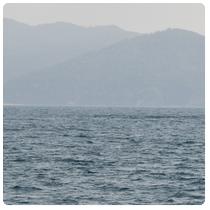 Rocas
