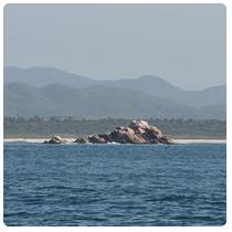 Rocks