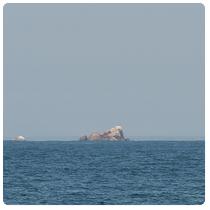 Rocks