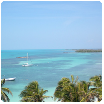 Isla Contoy - NW