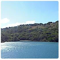 Baie de Pam
