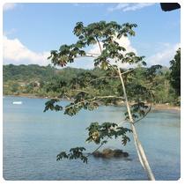 Drake Bay 