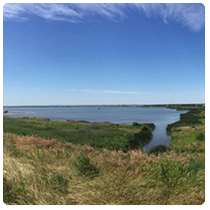 Hawk Cove - Heart-Miller Island