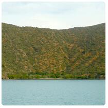 Ile Tanle - N