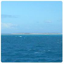 Ile Tenia,