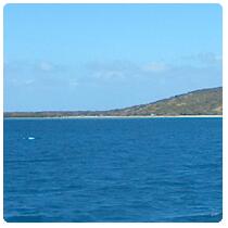 Iles Testard - N