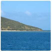 Iles Testard - N