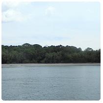 Isla Parida - Playa Socorros