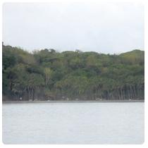 Isla Parida - E