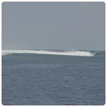 Pase de Mato - Kue Reef Anchorage