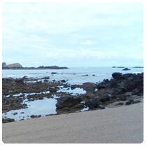 Shore