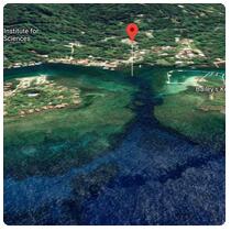 Approach