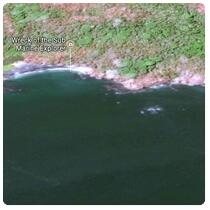 Isla San Telmo - NW