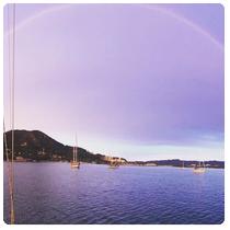 Anchorage Image by Argus Sails
