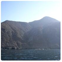 Isla Cedros N