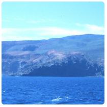 Bahia Vargas Lozano - Isla Socorro - S