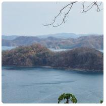 Isla Patricia