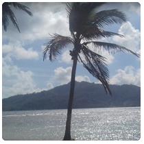 Isla Mamey