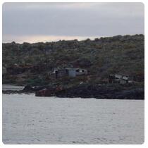 Shore