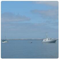 Bahia San Quintin