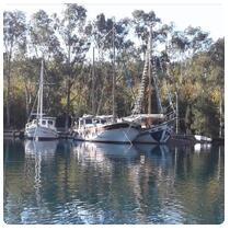 Local Boats