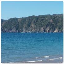 Shore