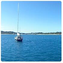 Musket Cove
