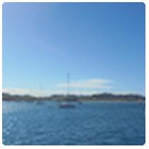 Musket Cove