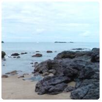 Shore