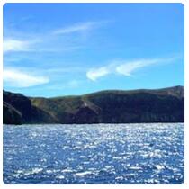  San Benedicto Island - S