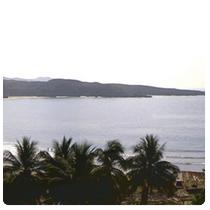 Bay