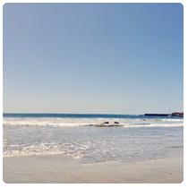 Shore