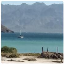 Shore