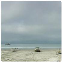 Shore