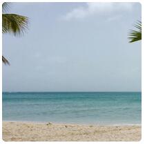 Shore