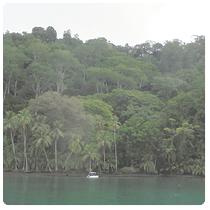 Shore