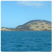 Iles Testard - SE