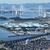 MARUGAME KO - Port