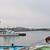 NEMURO KO - Port