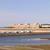 Mikawamito Marina