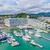Nanki Sea Tiger Marina
