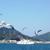 Ushima Harbor