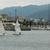 Fukuoka City Yacht Harbor