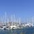Shelter Bay Marina