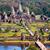 Angkor Wat