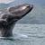 Ballena Marine National Park