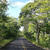 Area de Conservación Guanacaste