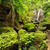 Darien National Park