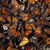 Monarch Butterfly Biosphere Reserve