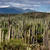 Tehuacán-Cuicatlán Valley 